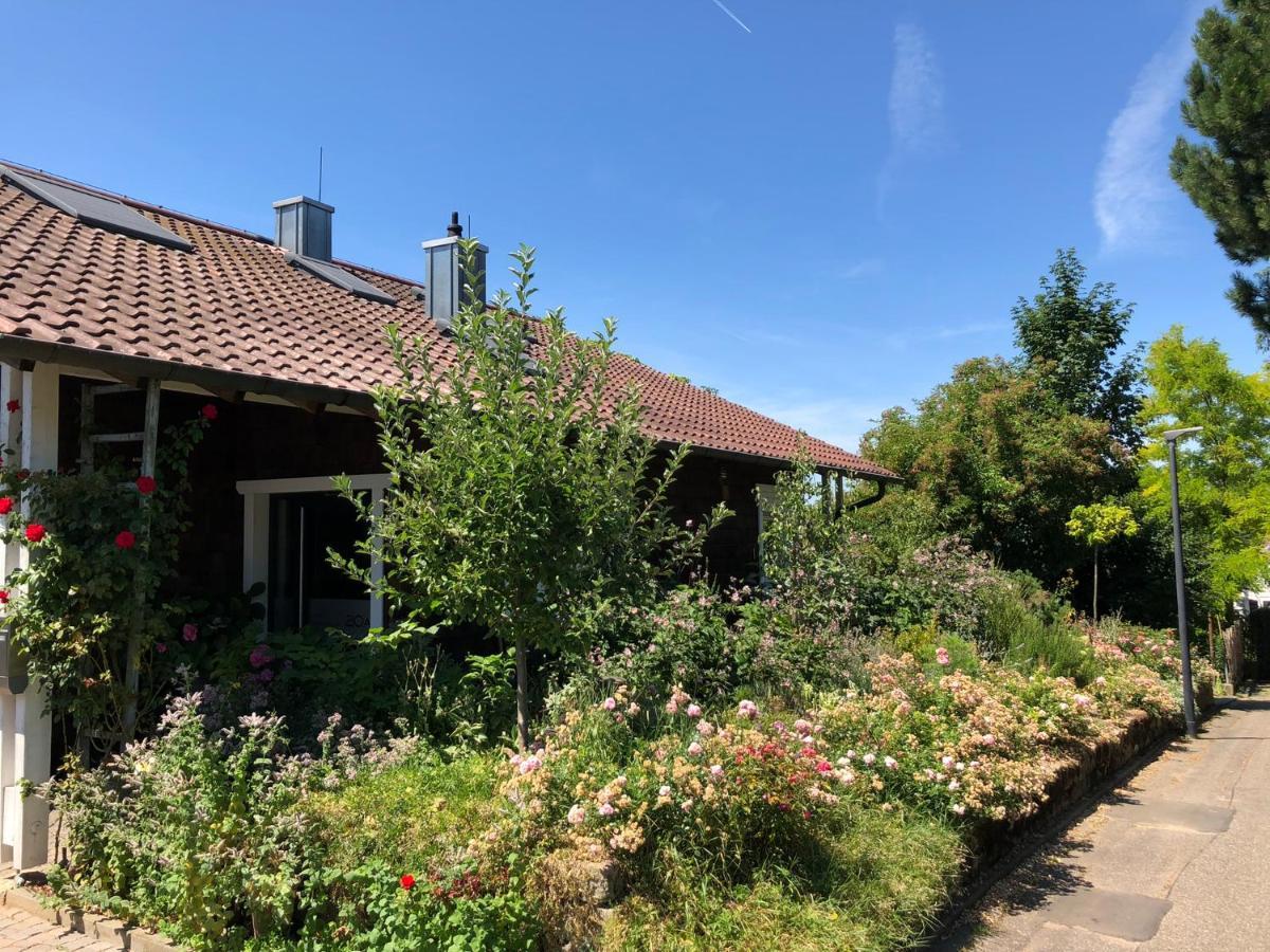 Luther20 Insheim Bagian luar foto